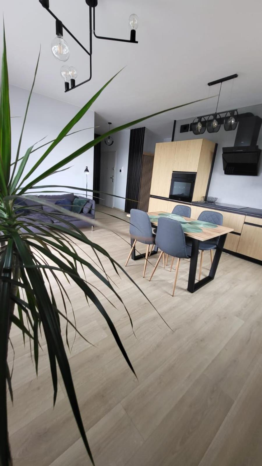 Apartament Solo Pruszcz Gdański Dış mekan fotoğraf